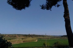 IMG-20170424-WA0020