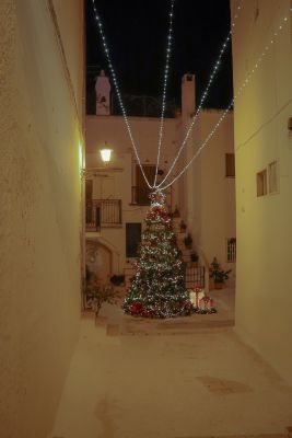 IMG_3486